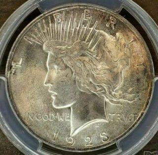 1923 - P Peace Dollar Pcgs Certified Graded Ms65 Attractive Toning Coin (dr)