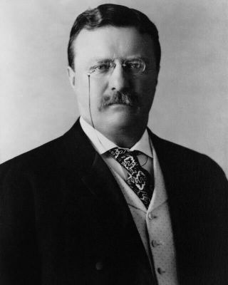 Us President Theodore Teddy Roosevelt 8x10 Photo Picture Print 2227071117