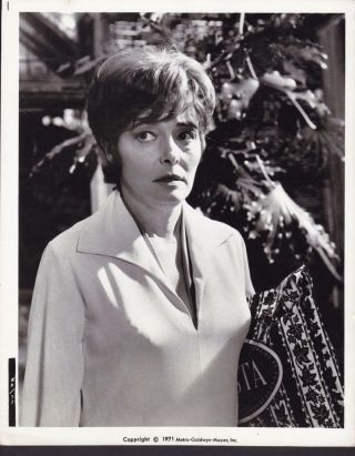 Patricia Neal Face Closeup In The Road Builder 1971 Vintage Movie Photo 32120
