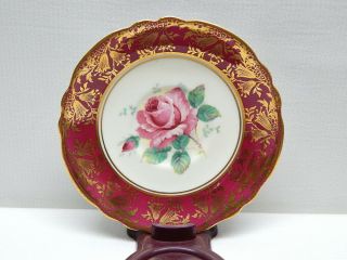 Great Paragon Double Warrant Cabbage Rose Cup & Saucer w/ Gilded Border 2