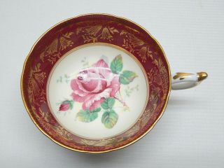 Great Paragon Double Warrant Cabbage Rose Cup & Saucer w/ Gilded Border 3