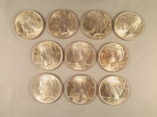 U.  S.  1924 Peace Silver Dollar - 10 Coins,