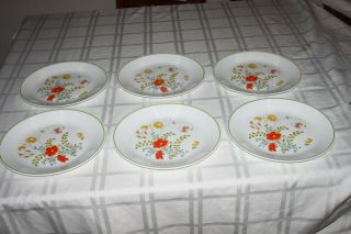 Set Of 6 Wildflower 10 1/4 " Corelle Corning Dinner Plates Wild Flower Pattern