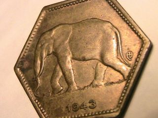 1943 Belgian Congo (zaire) 2 Franc Elephant Au Wwii African Bronze Coin