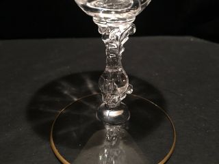 Cambridge Glass Wildflower 3121 10 oz footed tumbler gold rim 3