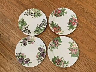 4 Different Limoges Bill Goldsmith Fruit Compote 8 3/4 " Plates