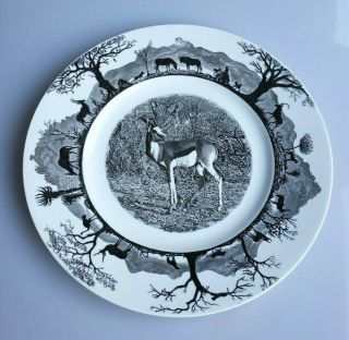 Wedgwood Kruger National Park Springbok Plate South Africa First Edition Plate