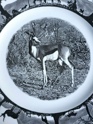 Wedgwood Kruger National Park Springbok plate South Africa first edition plate 2