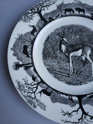 Wedgwood Kruger National Park Springbok plate South Africa first edition plate 3