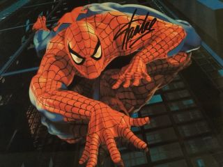 Stan Lee Hand Signed Spider - Man Autographed 8.  5 X 11 Photo W/coa.