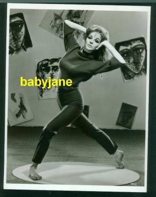 Janice Rule Vintage 8x10 Photo Barefoot Fashion 1960 The Subterraneans