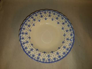 Vintage Antique Spode Blue Fleur De Lys Shallow Bowls Salad 8 " Set Of 6