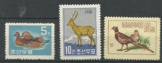 1959 Korea Ianimals Fauna Complete Set Mnh