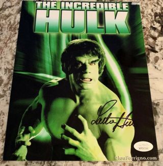 Lou Ferrigno Signed 8x10 Photo Autograph The Incredible Hulk Jsa