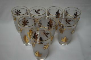 8 Vintage Mcm Libbey Frosted Clear Gold Leaf Glasses Mid - Century
