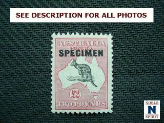 Noblespirit {ag} Exciting Australia No 129 2£ Kangaroo Specimen