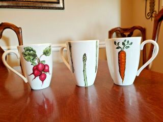 Set Of 3 Lenox Continental Dining Tea Coffee Mug Carrot Radish Asparagus