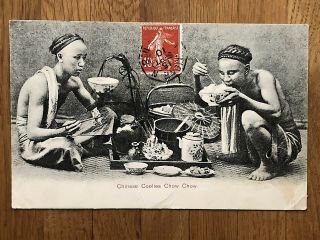 China Old Postcard Chinese Coolies Chow Chow To France 1910