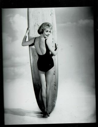8x10 - B & W Photo Of - Janet Leigh - Sexy In Swimsuit