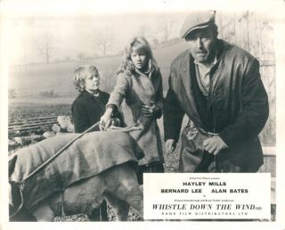 Whistle Down The Wind Lobby Card Hayley Mills Norman Bird 1961