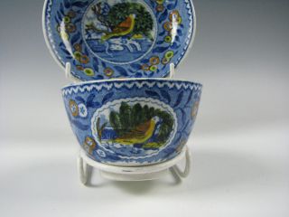 Antique Salopian Polychrome dec.  Cup & Saucer 19th C.  Staffordshire Pearlware 2