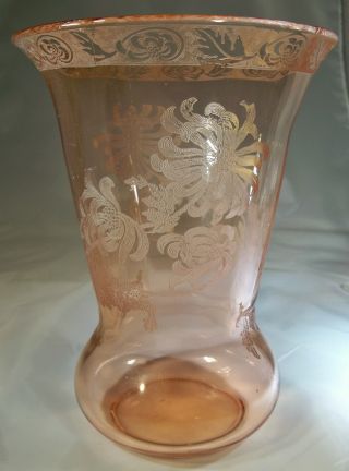 Cambridge Chrysanthemum Etch 724 Peach Blo Pink 782 8 - 1/2 " Tall Flared Vase