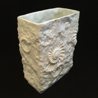 Mid - Century Kaiser Fossil Seashell Vase W Germany Golden Crown R & R Porcelain