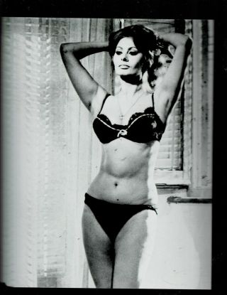 8x10 - B & W Photo Of - Sophia Loren - Sexy In Panties And Bra