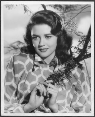 Dorothy Malone 1940s Bert Six Stamped Promo Glamour Portrait Photo