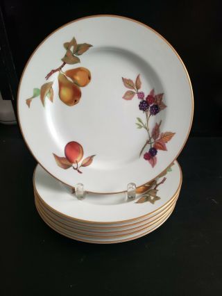 Royal Worcester Fine Porcelain 6 Salad Plates 8 1/4 " Diameter Made In England