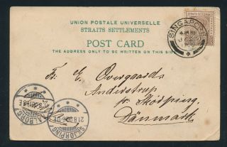 Straits Settlements.  1900.  Photo Postcard To Denmark.