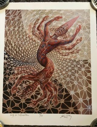 Alex Grey " Study For The Great Turn " 73/77 Tool Fear Inoculum Cosm
