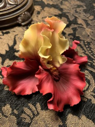 Capodimonte Fabar Red/burgundy And Yellow Bearded Iris Flower - Made In Italy