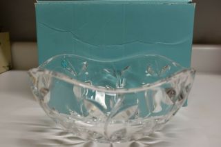 Tiffany & Co.  8 " Crystal Vine Bowl