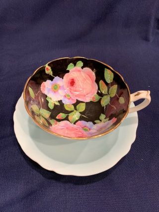 Rare Black Cabbage Rose Paragon Tea Cup And Saucer Nr