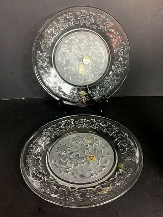 Set Of 2 Princess House Fantasia 10 " Dinner Plates With Stickers