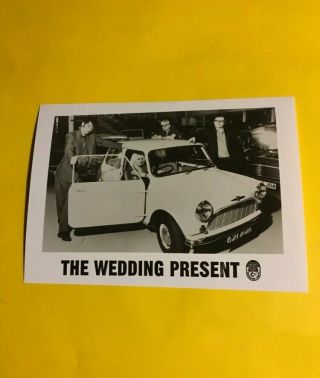 The Wedding Present Press Photo 8x10”,  David Gedge,  Plus 5x7” Photo. 2