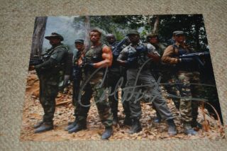 Carl Weathers Signed Autograph In Person 8x10 20x25 Cm Predator