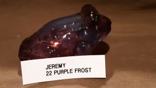 Boyd Crystal Art Glass - Jeremy,  the Frog - 22 Purple Frost 2