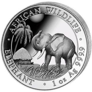2017 1oz Somalian Silver Elephant