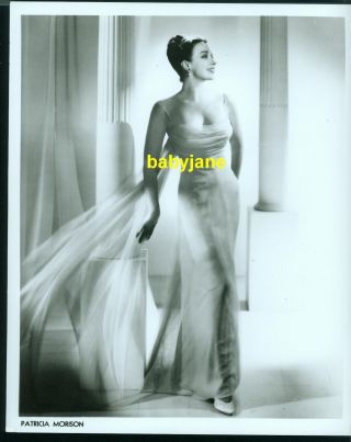 Patricia Morison Vintage 8x10 Photo Glamorous Fashion