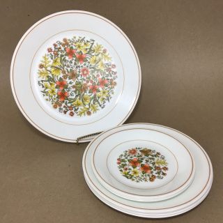 7 Corelle Corning Indian Summer Plates Dinner Luncheon Salad Spice Of Life Vtg