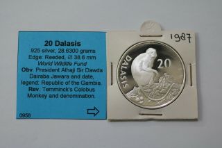Gambia - 20 Dalasis 1987 Pp Temminck 