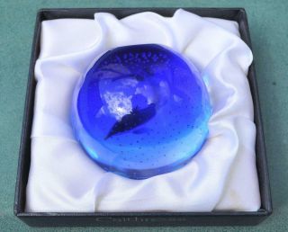 Great Boxed Caithness Limited Ed William Manson " Dolphin " Glass Paperweight