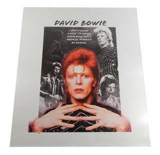 David Bowie Canvas Print Poster Sign Banner 20x24 Numbered /100 Ziggy Stardust