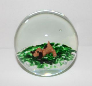 Vintage Gibson 1989 Sulfide Art Glass Paperweight Puppy In The Grass Very Cute