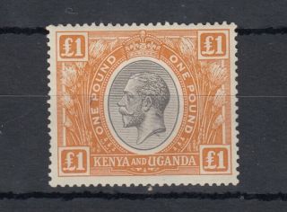 Kenya Uganda Kgv 1922 £1 Sg95 Mlh J7465