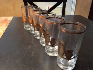 Set Of 6 Culver Owls Highball Glasses - Gold Encrusted Owls On Branch