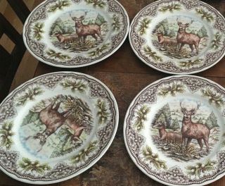 Set Of 4 Royal Stafford Woodland Deer Buck Dinner Plates 11 "