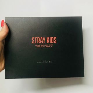 Stray Kids Hi - Stay Tour Official Goods [portrait Photo & Stamp Sticker]